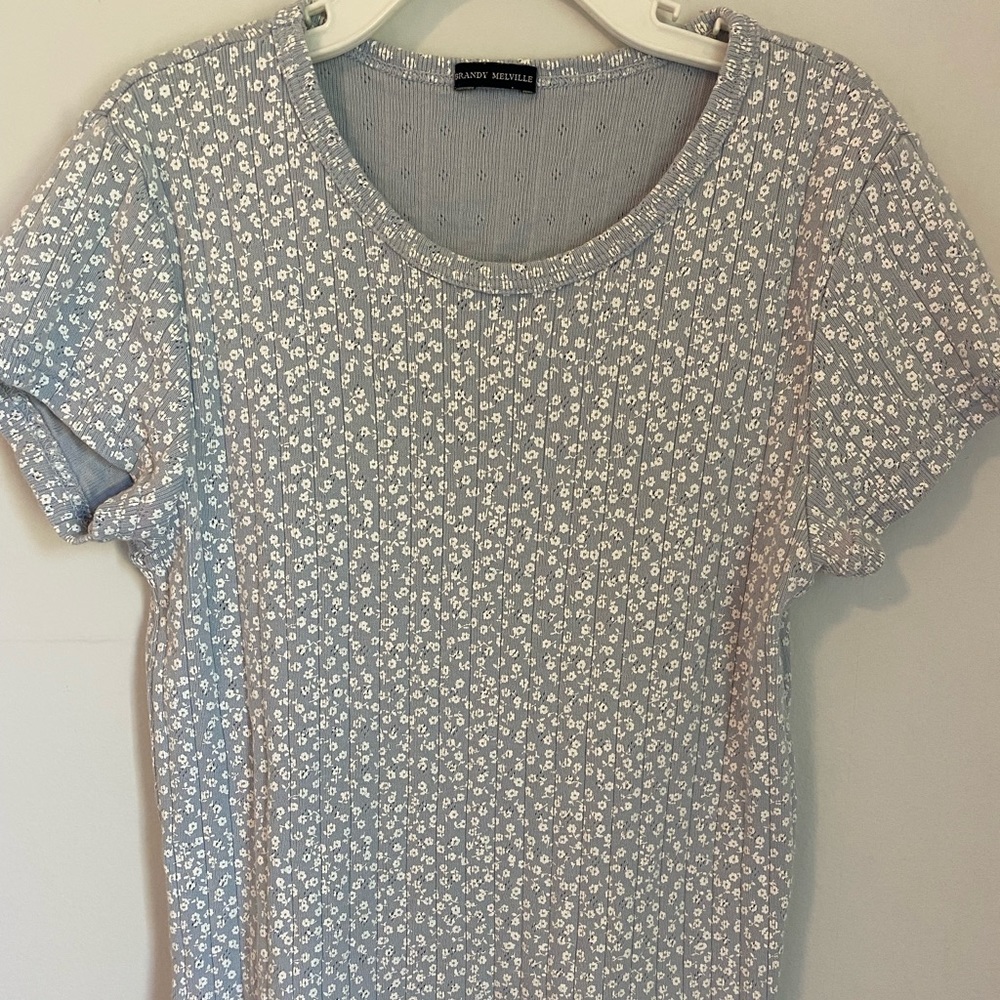 Brandy Melville Crop Top